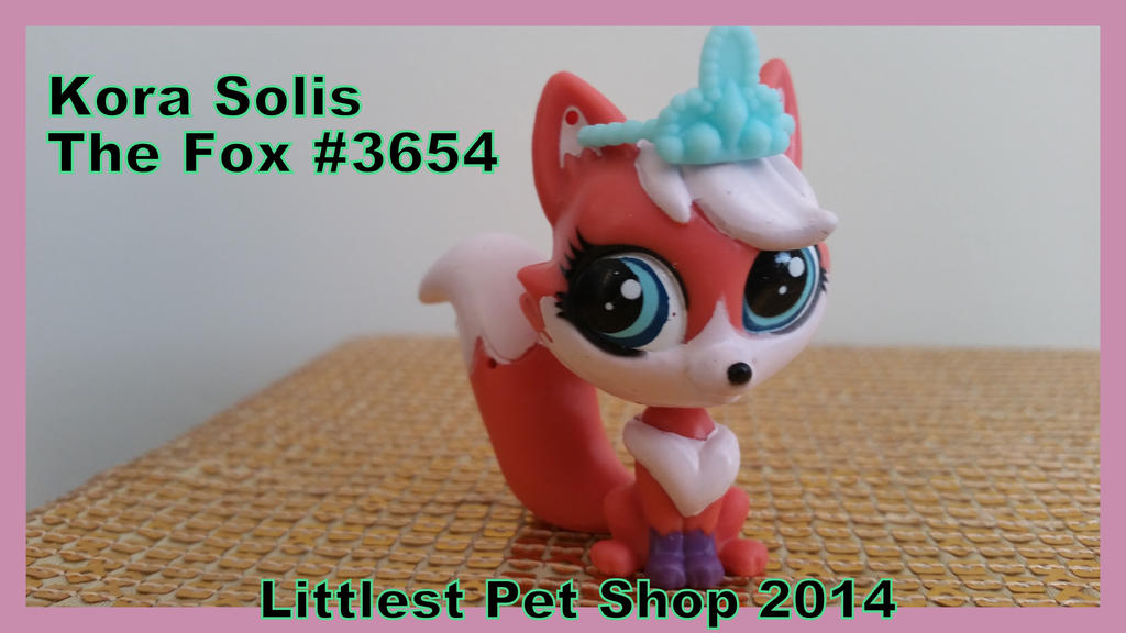 Littlest Pet Shop (DS) Review - Vooks