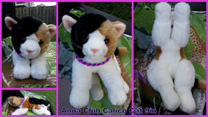 Anna Club Calico Cat 9in