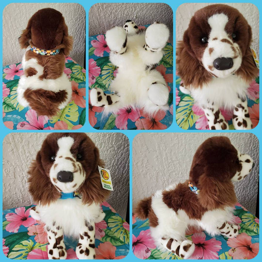 Douglas Ogilvy Springer Spaniel 16in By Vesperwolfy87 On DeviantArt douglas-ogilvy-springer-spaniel-16in-by-vesperwolfy87-on-deviantart