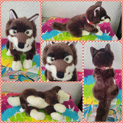 Prime Shiba Embry the Wolf Dog 15in