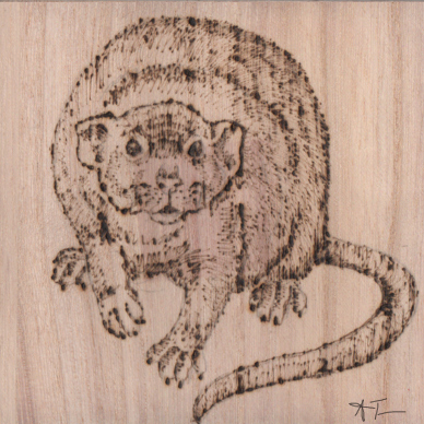 Felix Pyrography