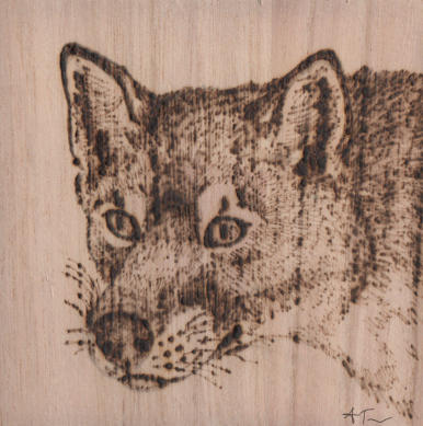 Fox Pyrography by wolfysilver on DeviantArt