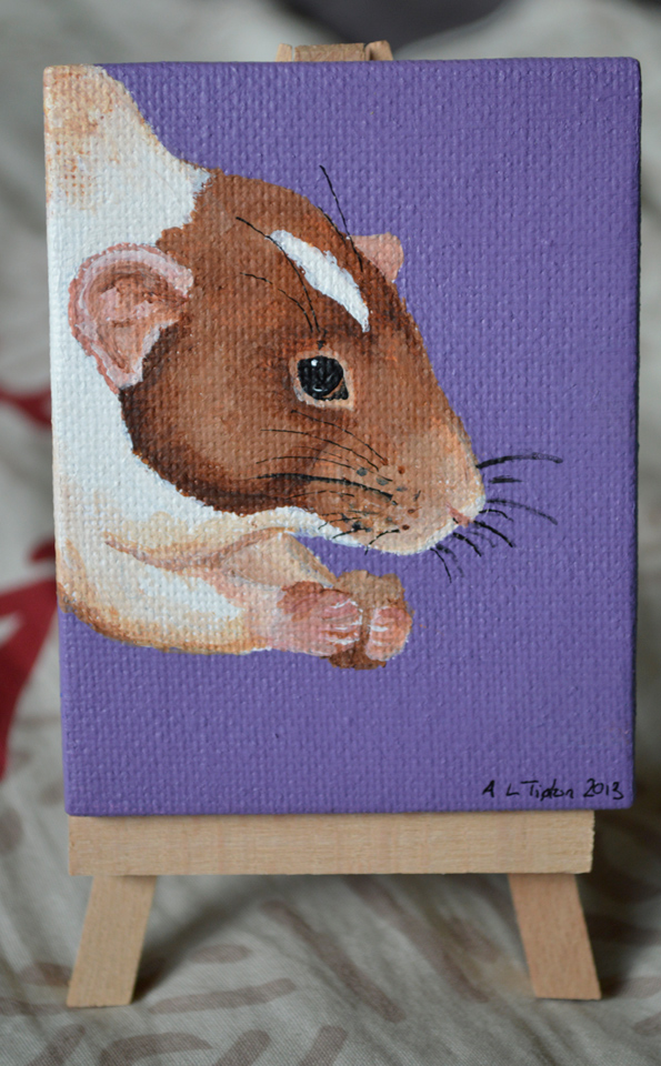 Mini Masked Rat Art