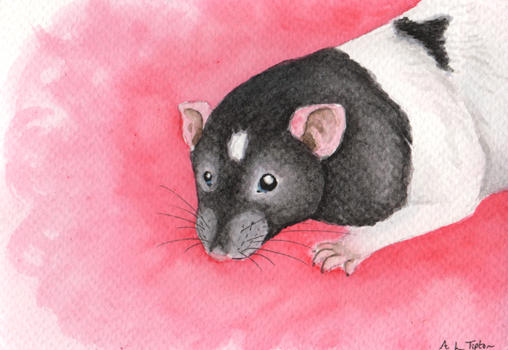 Postcard Sized Rat Painting