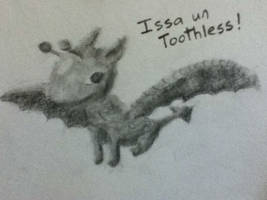 Issa un Toothless!