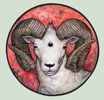 Goat by Phronemophobiaa
