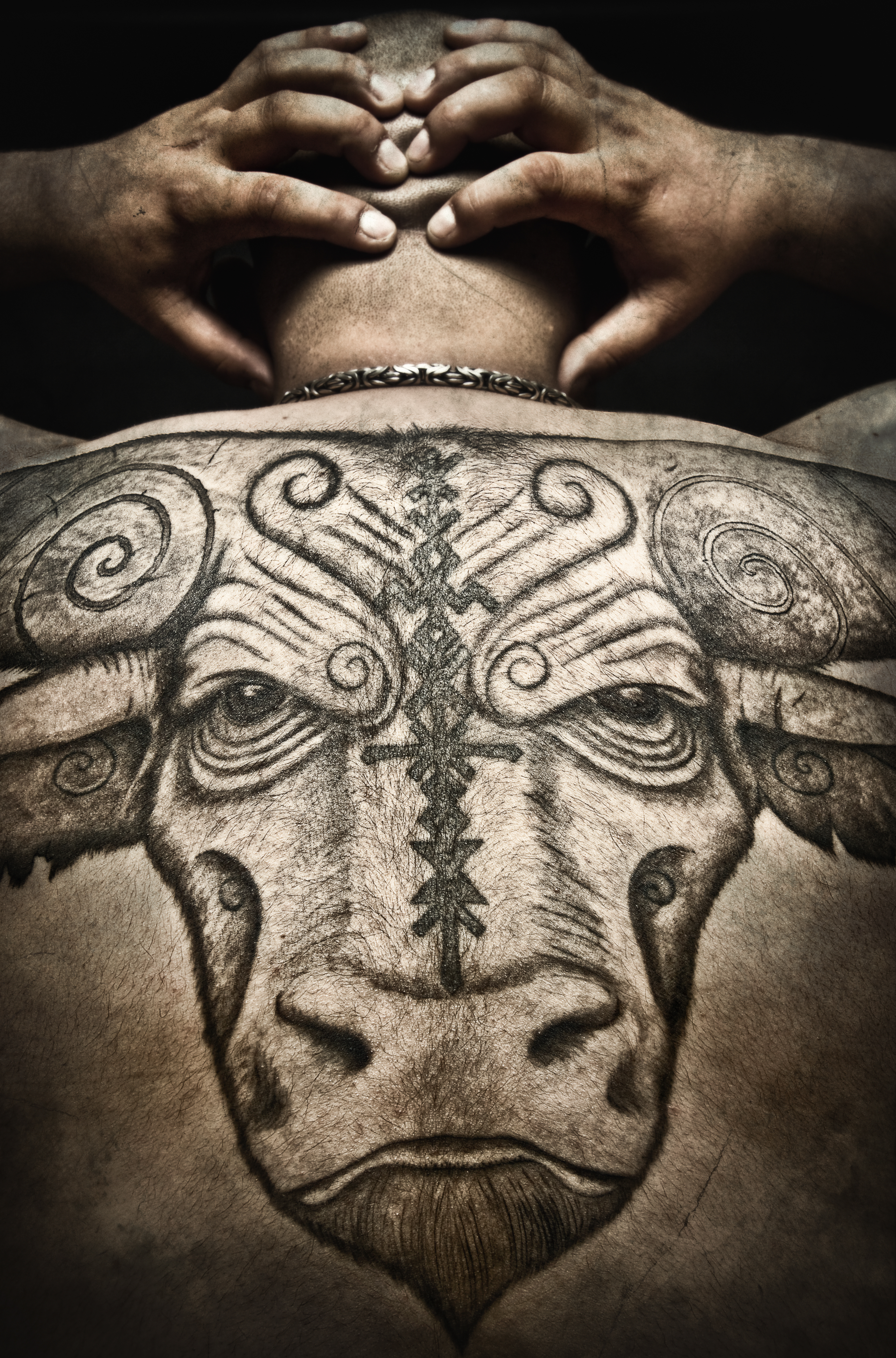 Bull tattoo, pro picture by NorthernBlack on DeviantArt Bull tattoo, pro picture by NorthernBlack on DeviantArt