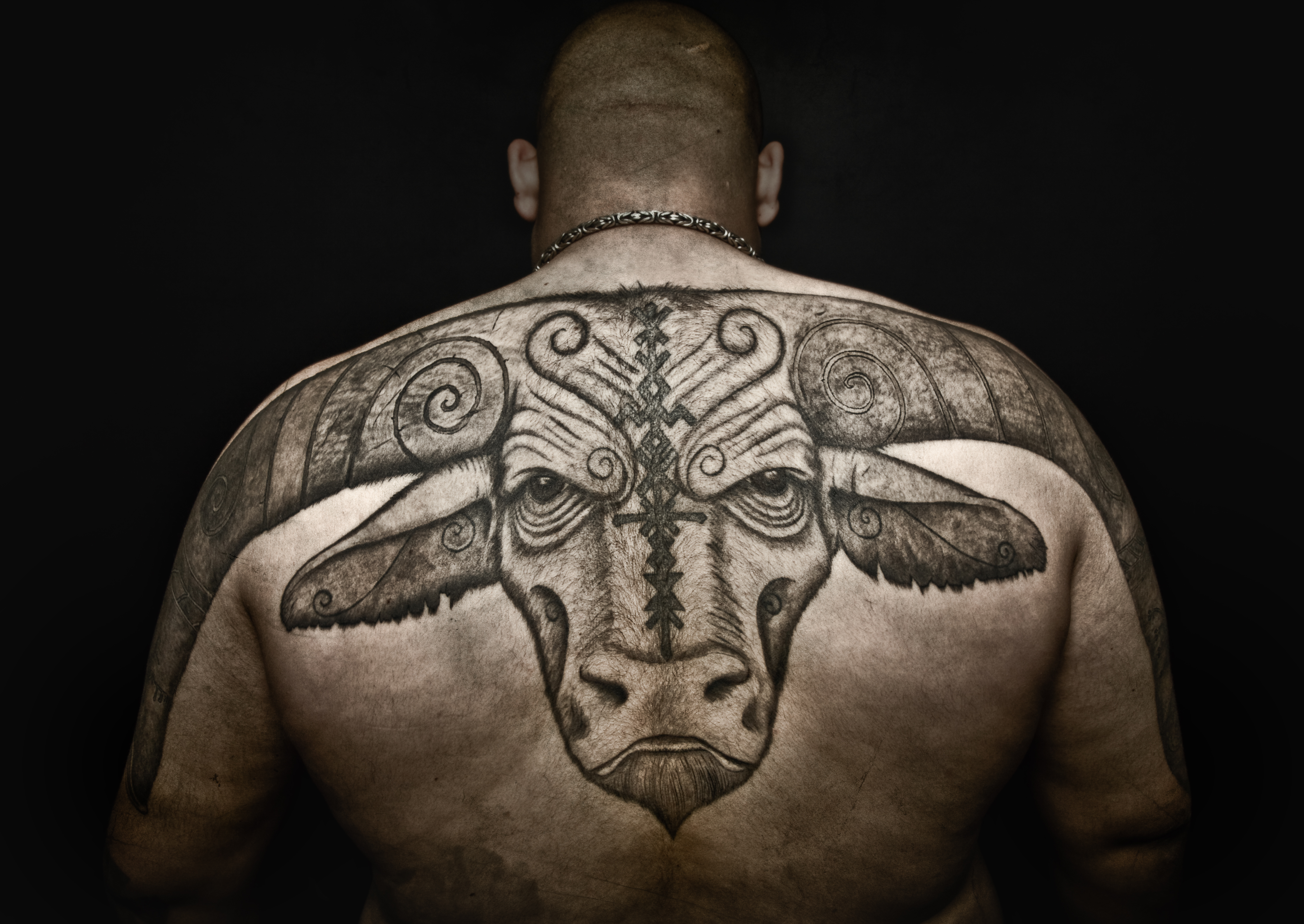 Bull tattoo, pro-photo 2