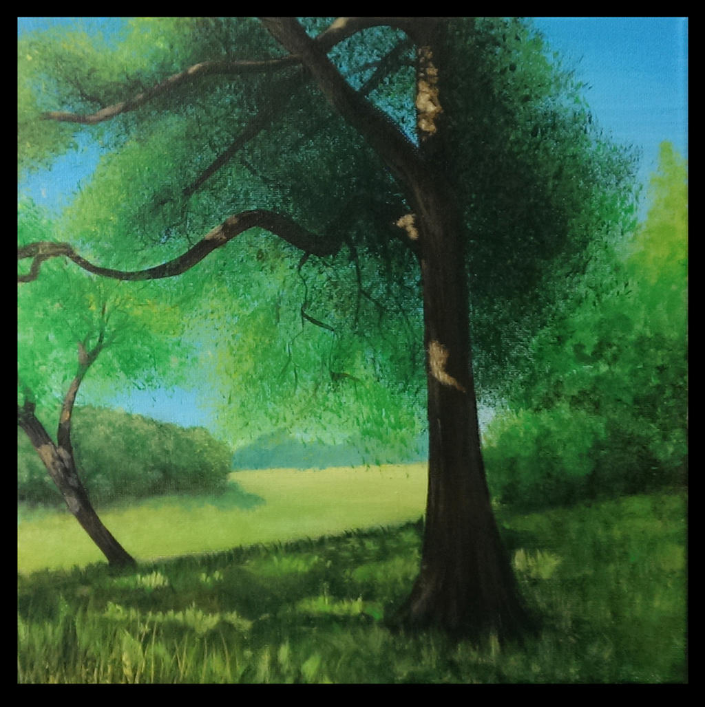 In The Shade