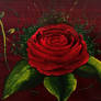 rose tea box