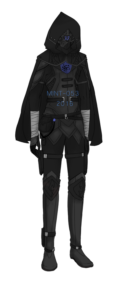 Anime Girl Assassin Outfit