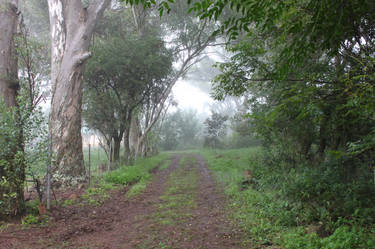 Country Road