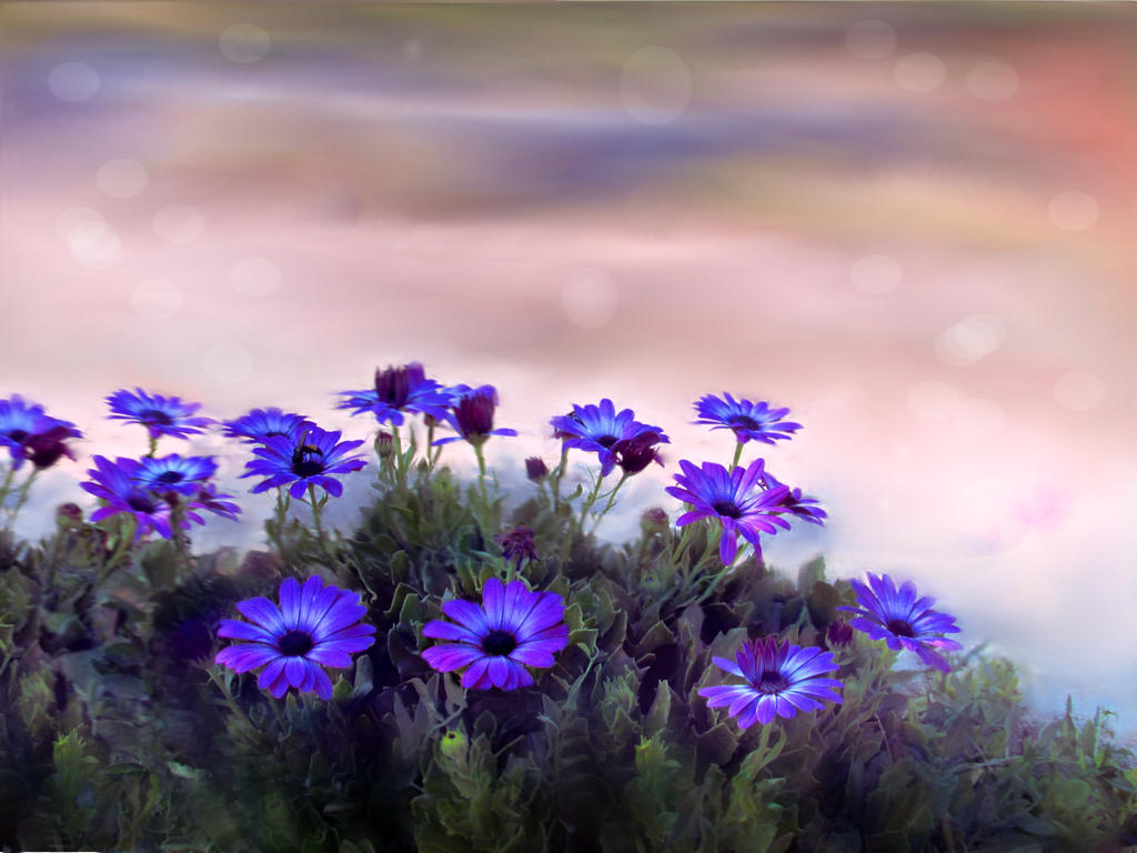 Blue flowers by Olga17