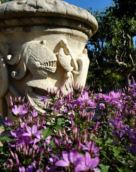 Purple Knights in Barcelona