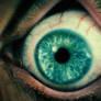 eye