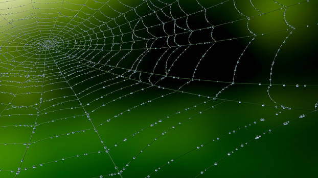 Rendered Web