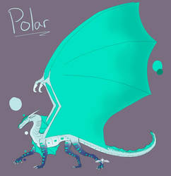 Polar Sketch Ref 2021