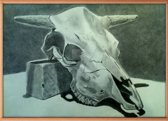 Skull