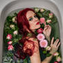 Poison Ivy