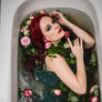 Poison Ivy 02