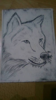 Etching -- Wolf