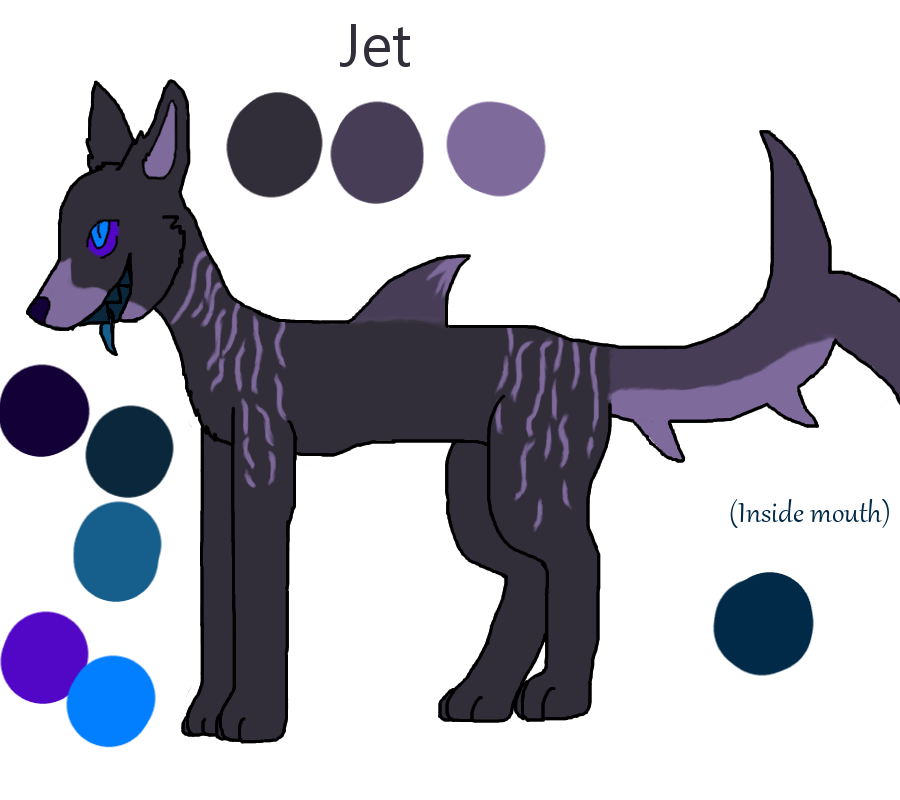 Jet Character Sheet by RimpaTDE on DeviantArt