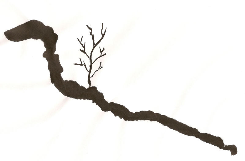 Sumi Tree sketch 5 by onyx-raven on DeviantArt