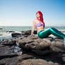 Ariel the Little Mermaid