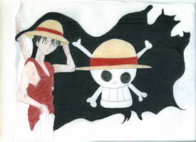 One Piece Flag