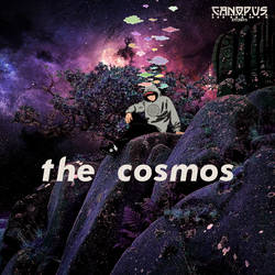 the cosmos