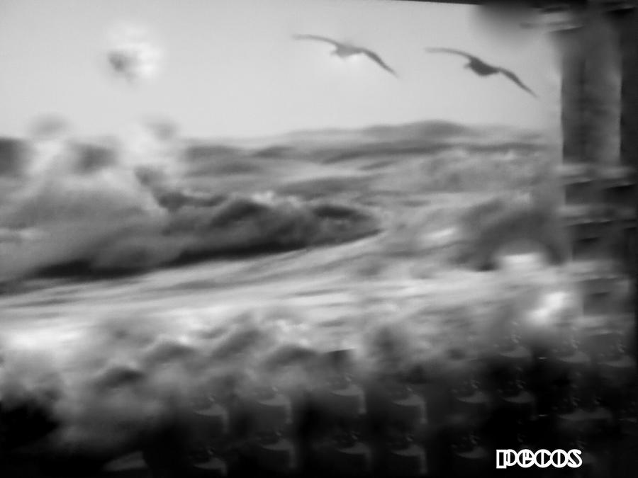 SHADE. by blessedcreations on DeviantArt