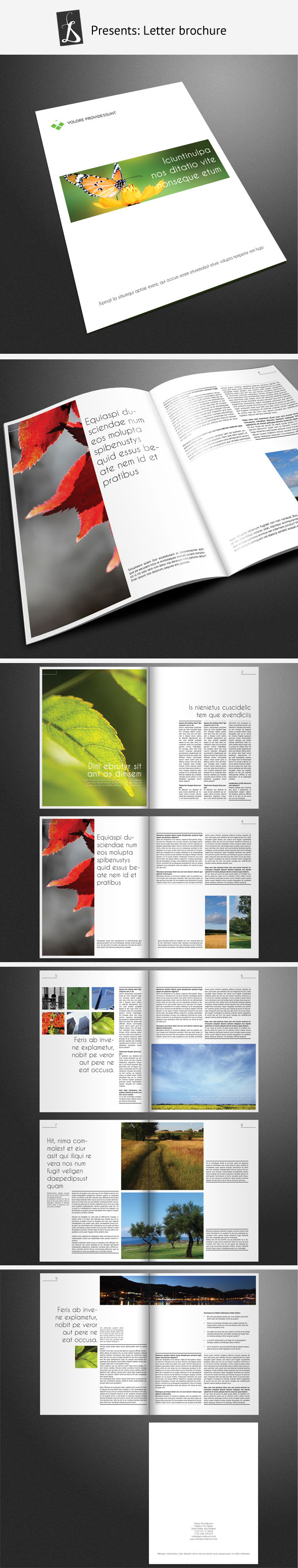 Corporate brochure 11