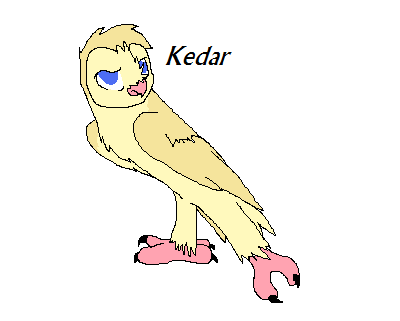 Kedar