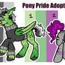 Pony Pride Adopts OPEN | Aro and Ace