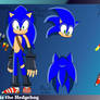 Sonic Biography