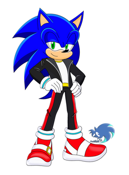 Sonic the Hedgehog New Look REMAKE