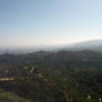 LA from the Observatory