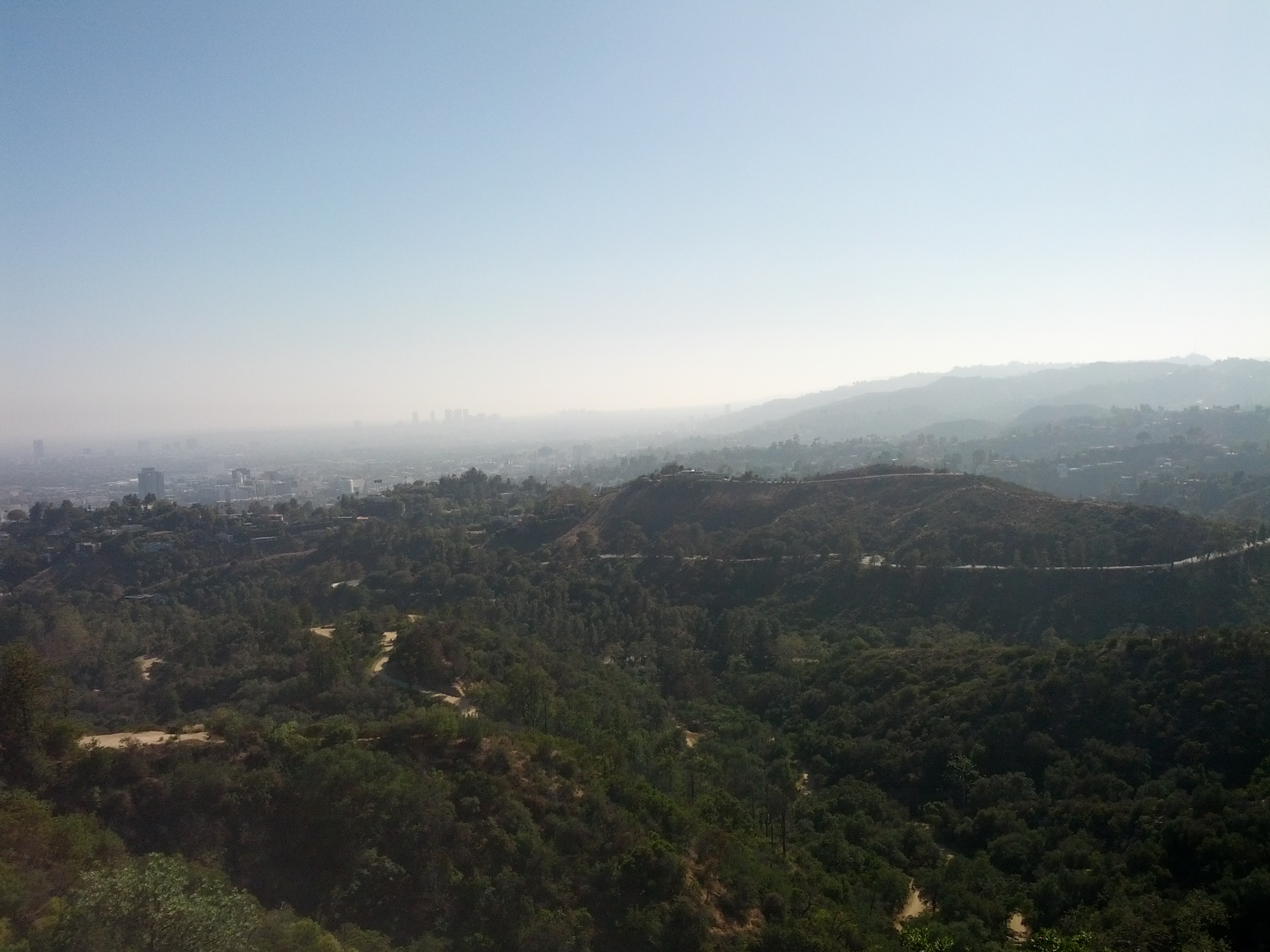 LA from the Observatory