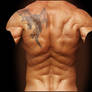 Male Anatomy - Back01