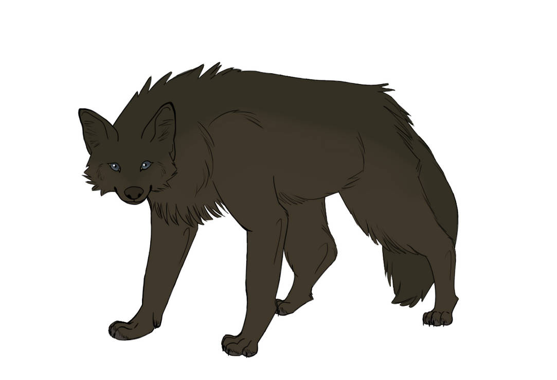 Realistic Wolf by ari-nox on DeviantArt