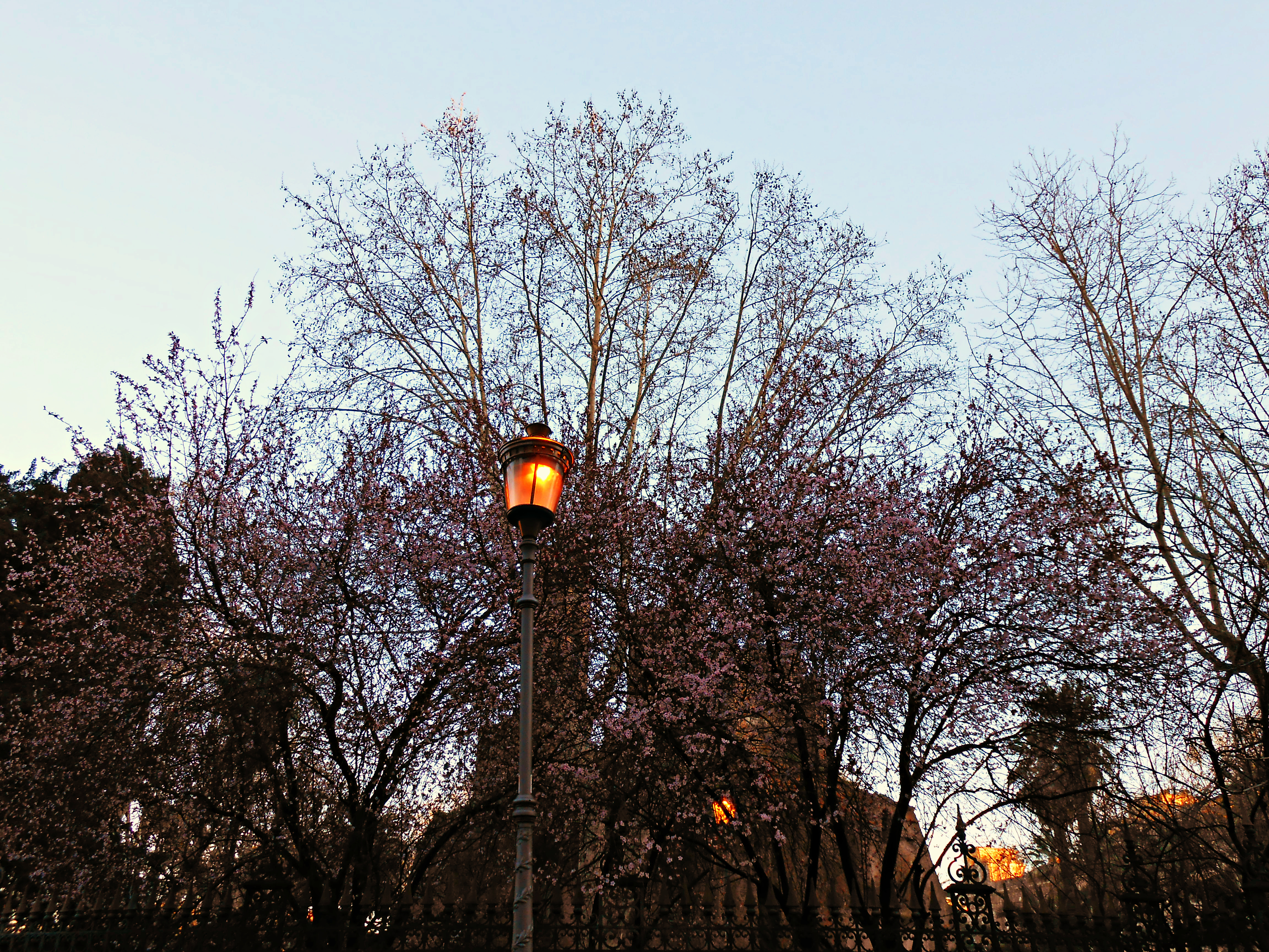 Lonely streetlight