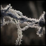Frost by grimleyfiendish