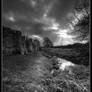 Baconsthorpe Castle II