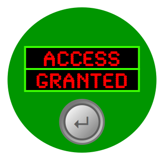 Access granted panel