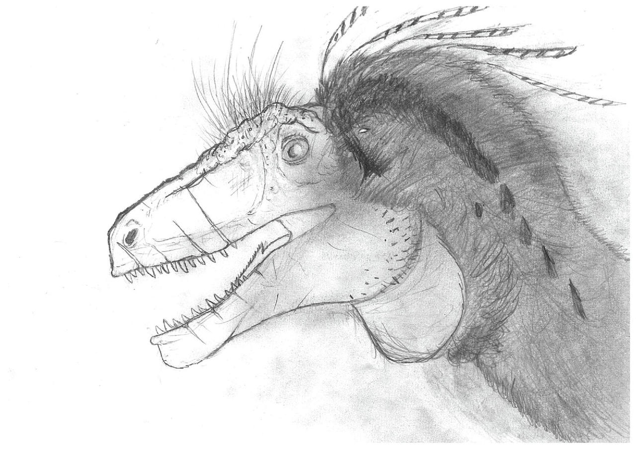 Congo Raptor Congoraptor by MarianoCanales on DeviantArt