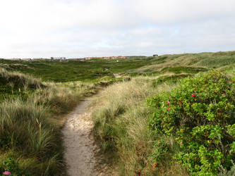 Sylt 07-21-2013_019