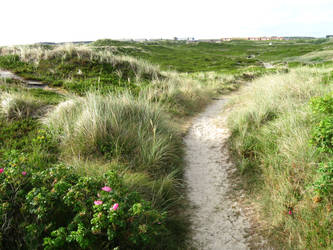 Sylt 07-21-2013_020