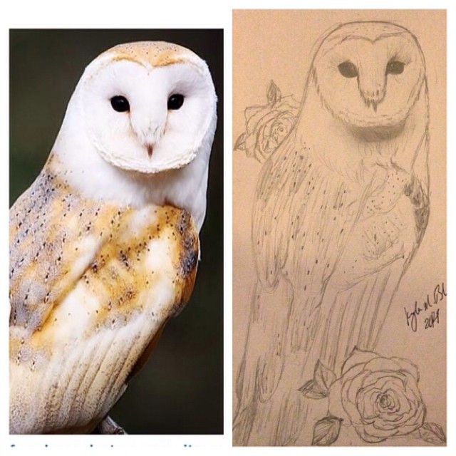 Tattoo sketch owl 1