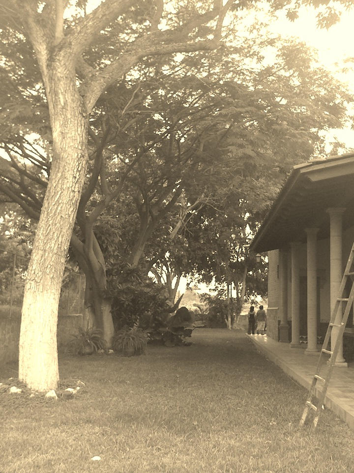 peaceful ranch by paulalvarez on DeviantArt