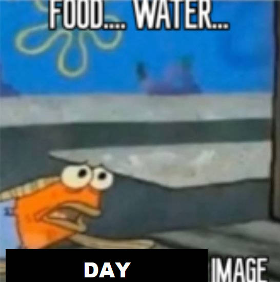 food_water_by_daylightjamboree_dgzzvrd-3